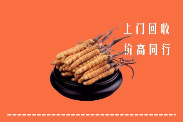 附近收购：德州市庆云冬虫夏草回收多少钱每克