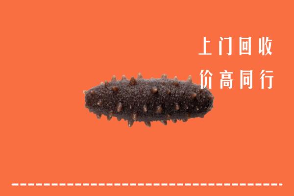 德州市庆云回收海参