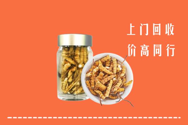 德州市庆云回收冬虫夏草
